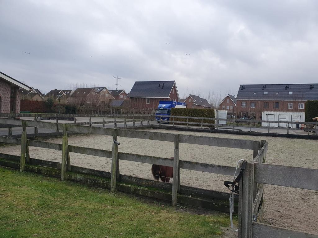 Paardenbak 20x20 fundering op bielzen - hardhout - omheining, Dieren en Toebehoren, Weidegang, 2 of 3 paarden of pony's