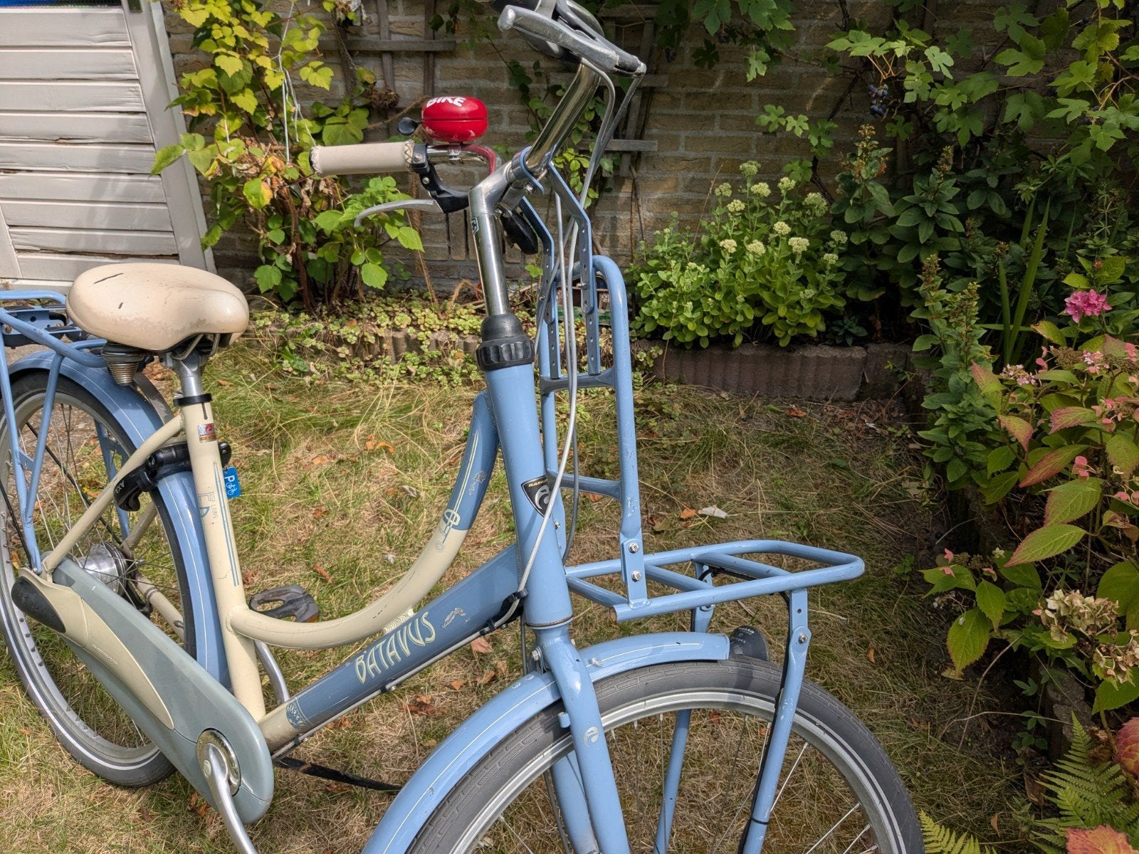 Batavus omafiets met voorrek en versnellingen, Fietsen en Brommers, Fietsen | Dames | Omafietsen, Ophalen, Gebruikt, Batavus, Versnellingen