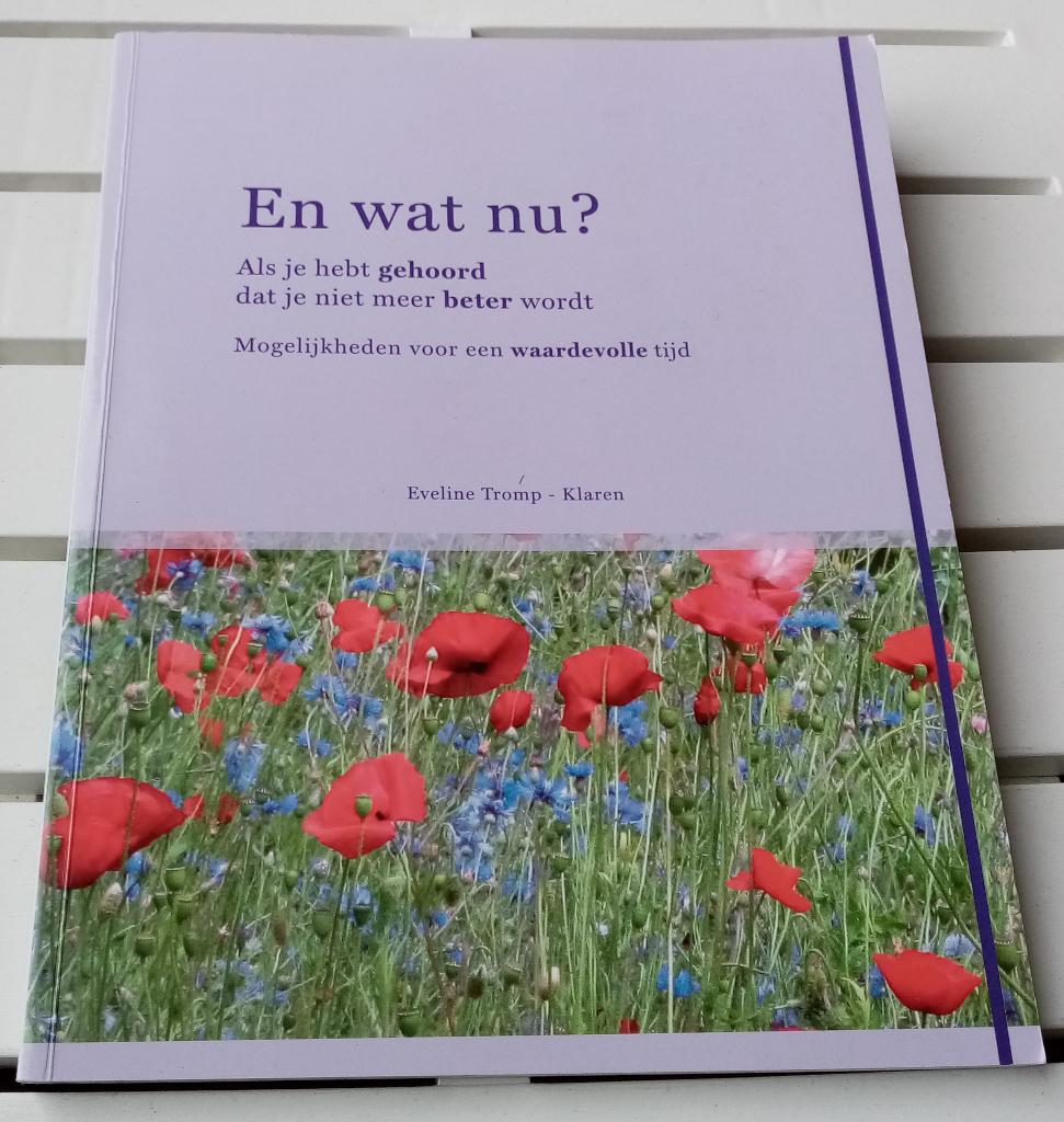 EN WAT NU? Als je niet meer beter wordt. Mogelijkheden, Gelezen, Ziekte en Allergie, Eveline Tromp-Klaren, Ophalen of Verzenden