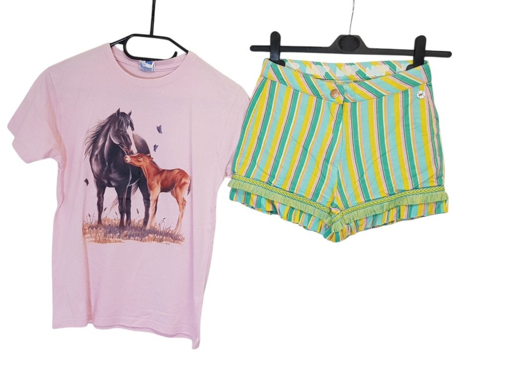 Leuk roze paardenshirt in maat 9-11 jr, draagmaat 140., Kinderen en Baby's, Verzenden, Zo goed als nieuw, Meisje, Shirt of Longsleeve