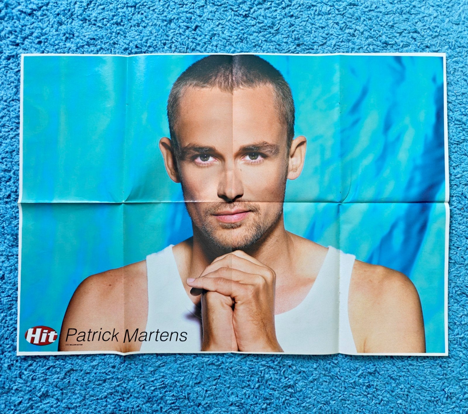 Patrick Martens poster hitkrant vintage, Verzamelen, Rechthoekig Liggend, Nieuw, Ophalen of Verzenden, A1 t/m A3