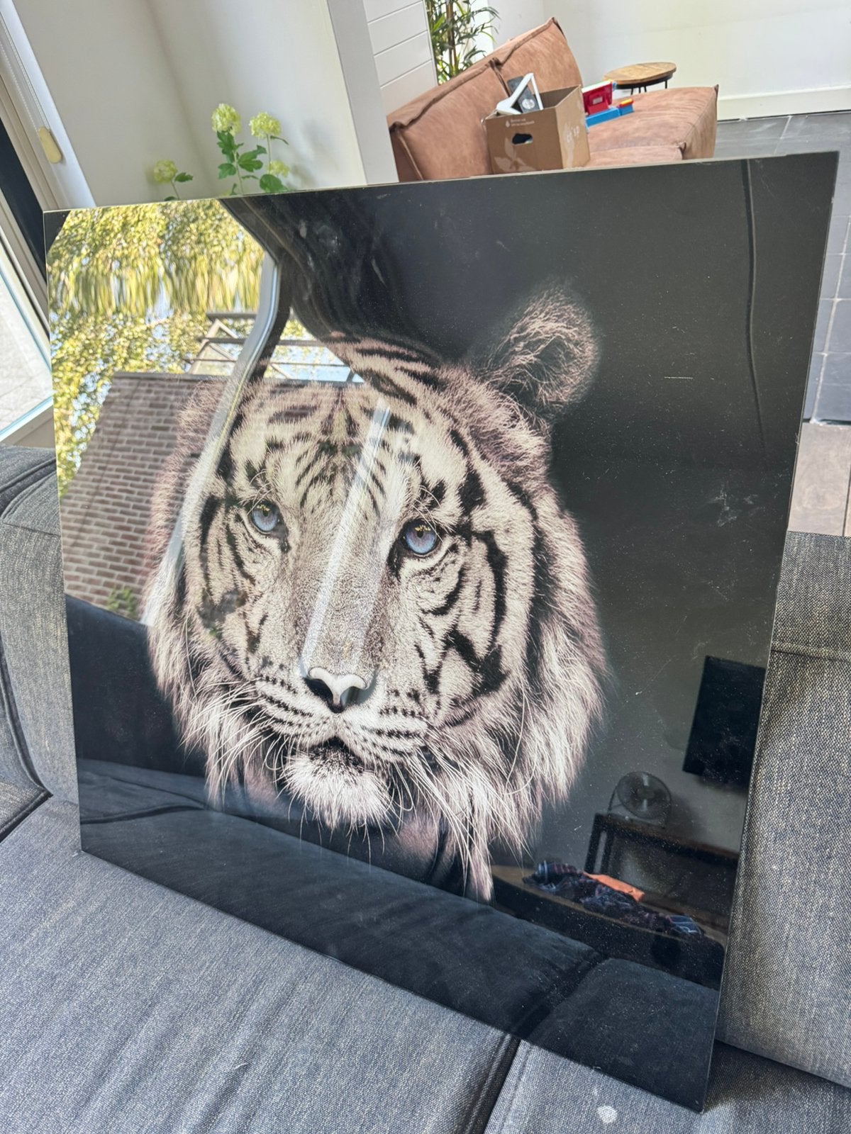Glasplaat tijger, Antiek en Kunst, Ophalen