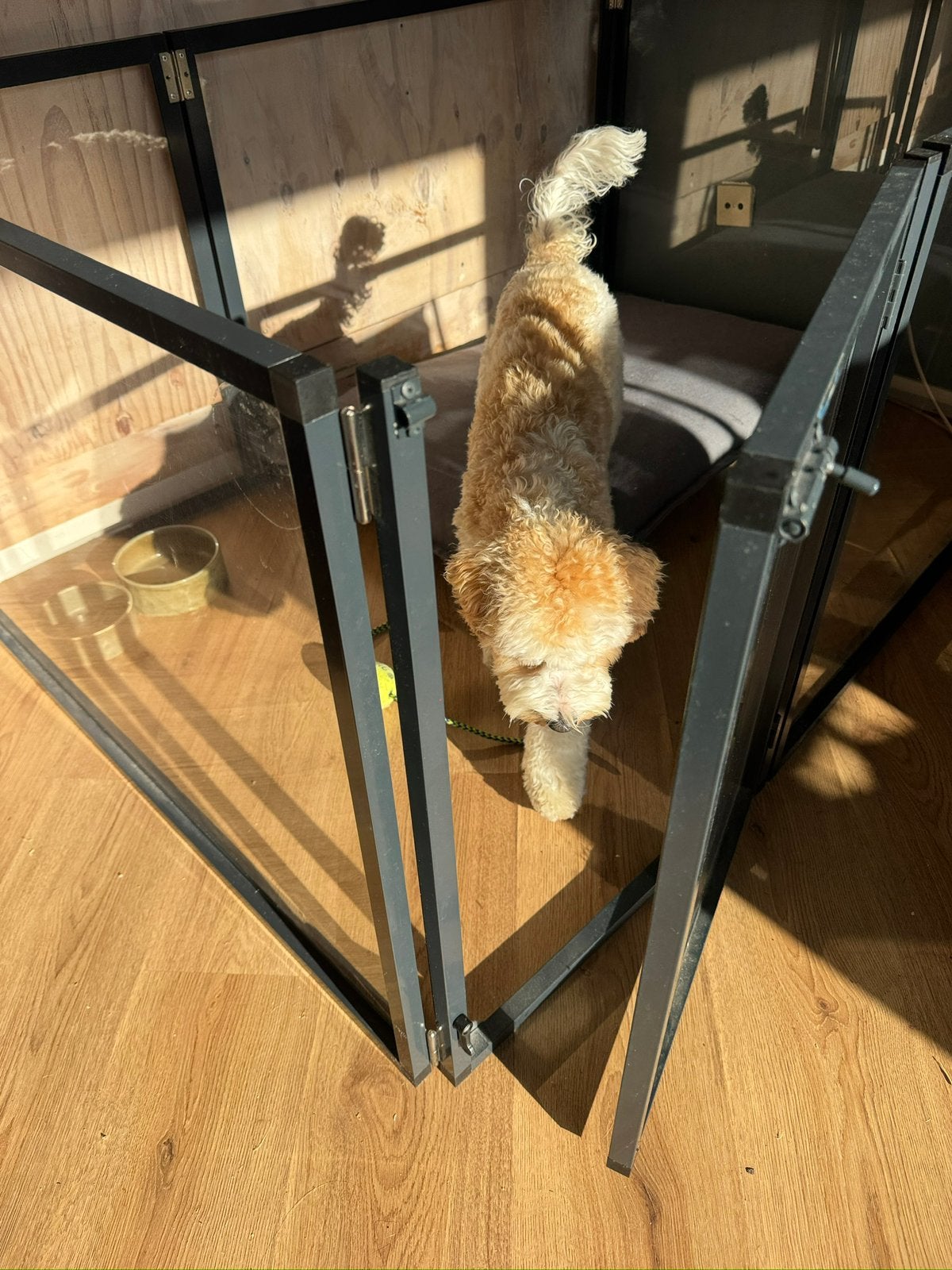 Mooie, stevige puppyren, ook geschikt voor kittens, Dieren en Toebehoren, Ophalen of Verzenden, Zo goed als nieuw