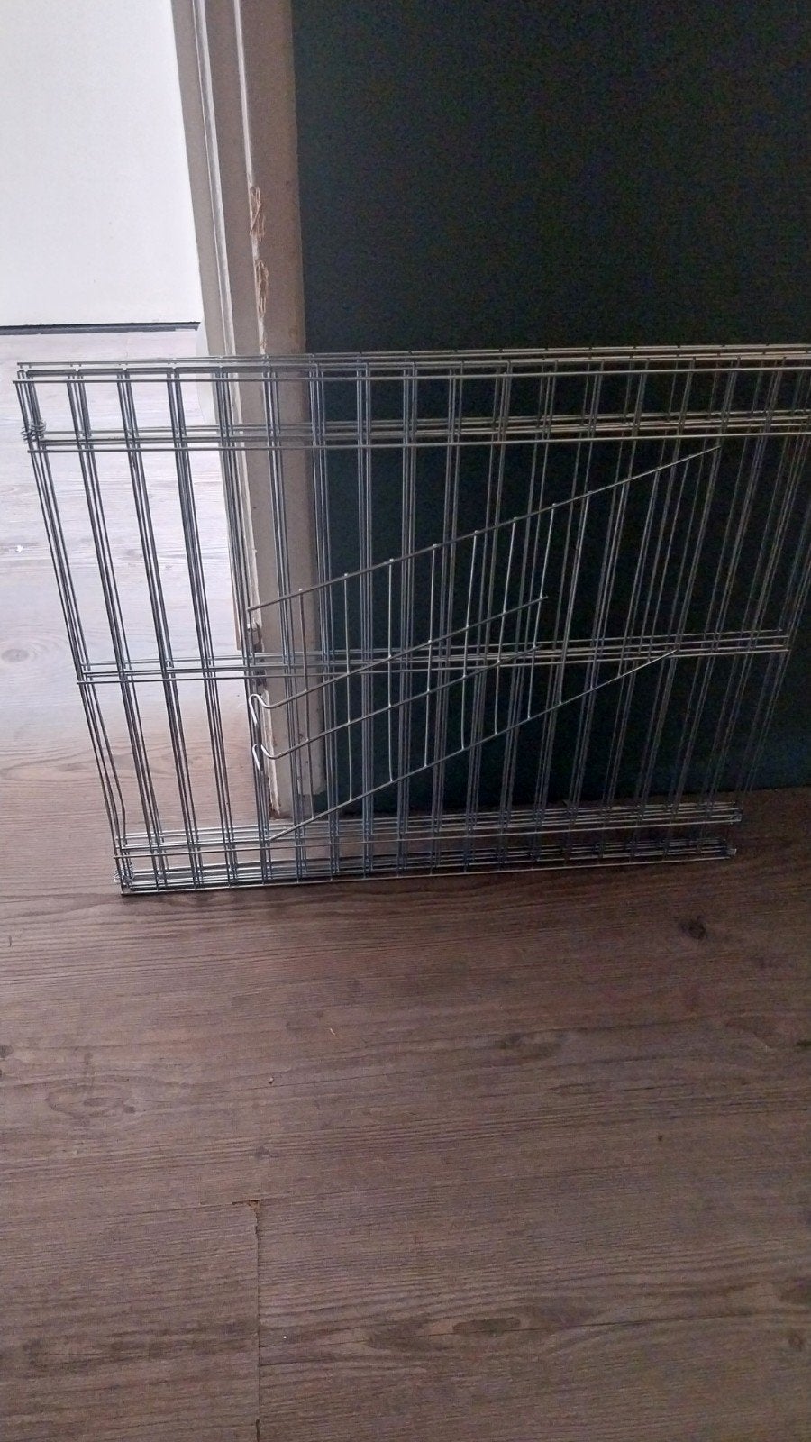 puppyren, Dieren en Toebehoren, Ophalen, Nieuw