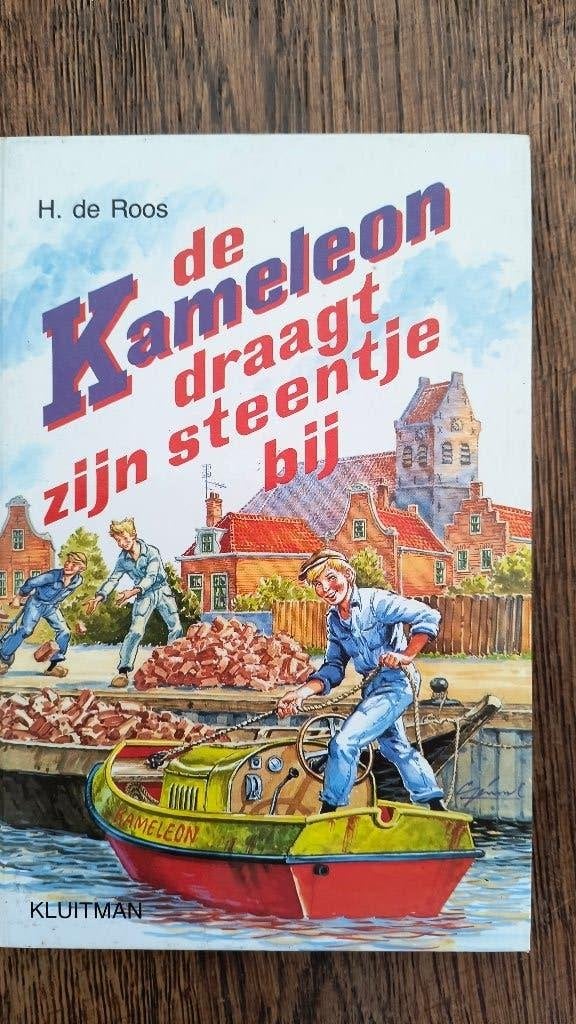 de kameleon draagt zijn steentje bij, Boeken, Ophalen of Verzenden, Zo goed als nieuw