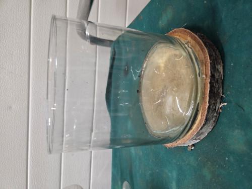 lantaarn glas met boomstam voet, Ophalen of Verzenden, 'T Olde Gre-j, Info@toldegrej.nl, Endepoelstraat 20f Didam