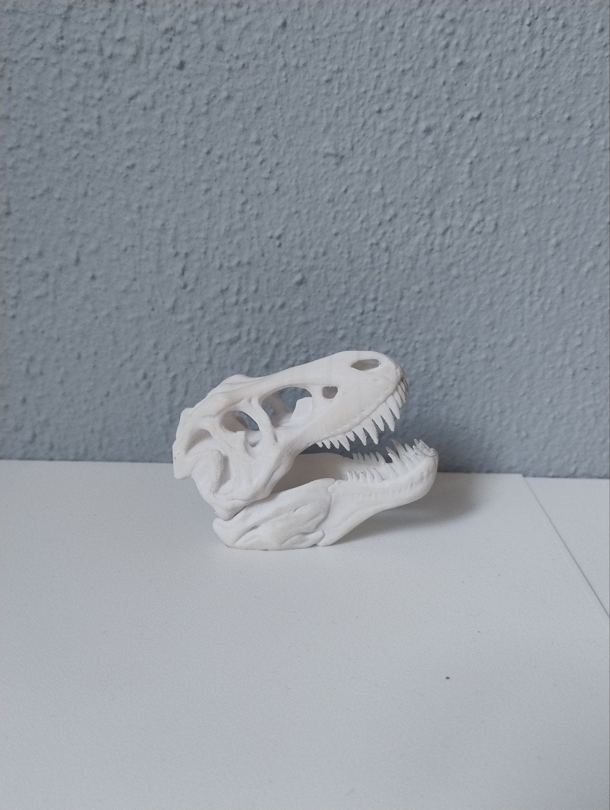 3D-Geprinte T-Rex Schedel, Ophalen of Verzenden, Nieuw