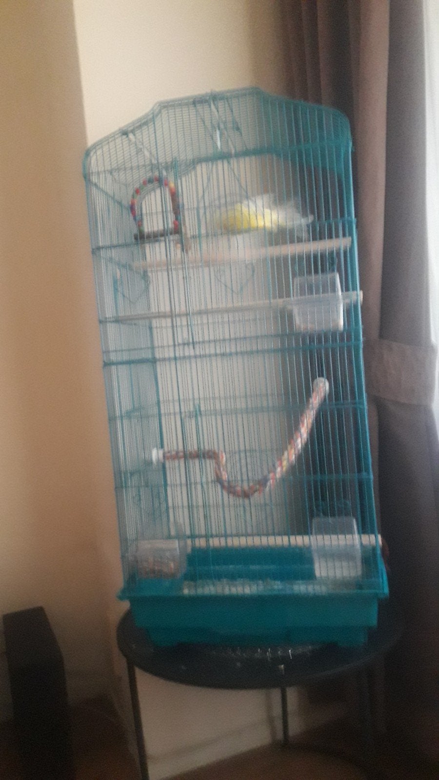 Kooi met kanari, Dieren en Toebehoren, Ophalen, Zo goed als nieuw, Metaal, Vogelkooi