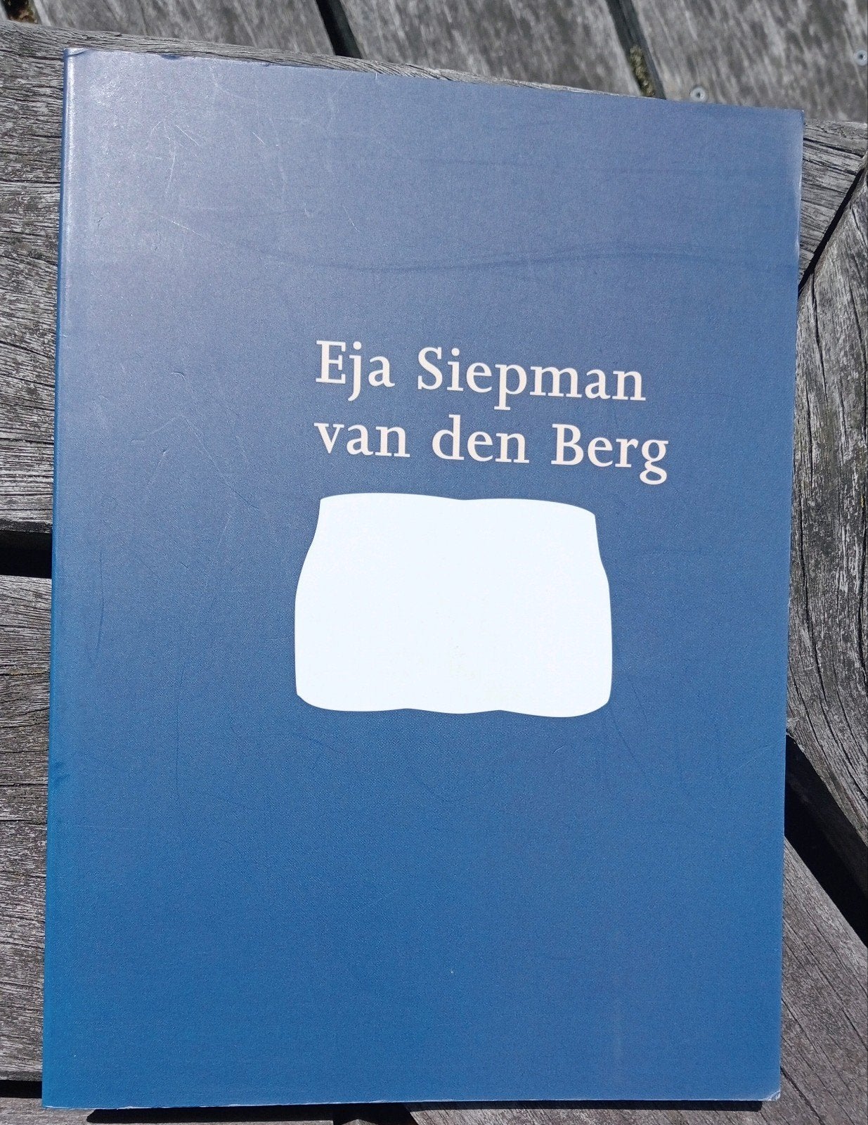 Hans Sizoo, Peter Struycken - Eja Siepman van den Berg, Ophalen of Verzenden, Overige onderwerpen, Hans Sizoo, Peter Struycken