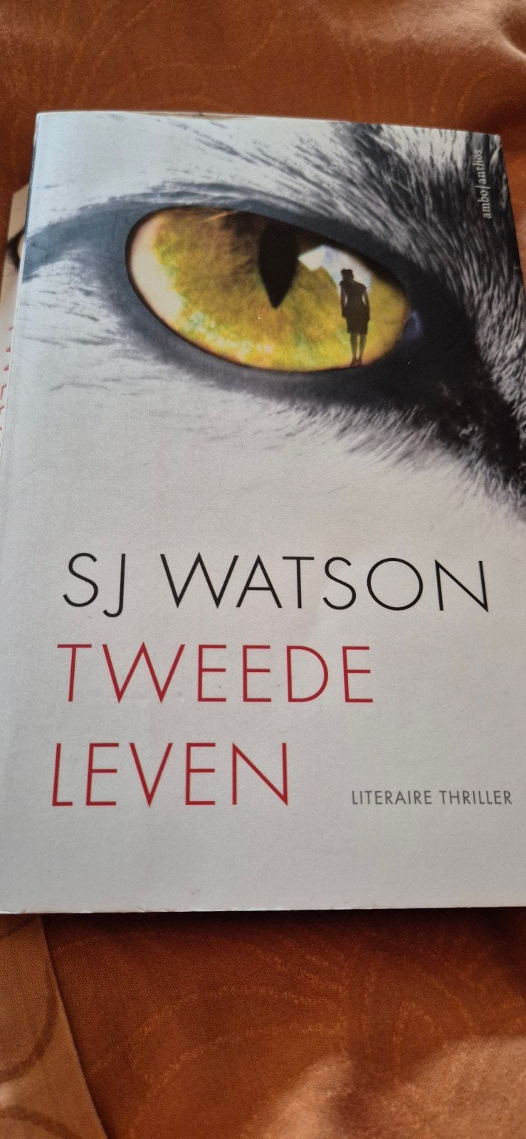 S.J. Watson - Tweede leven, Ophalen of Verzenden, Zo goed als nieuw, S.J. Watson