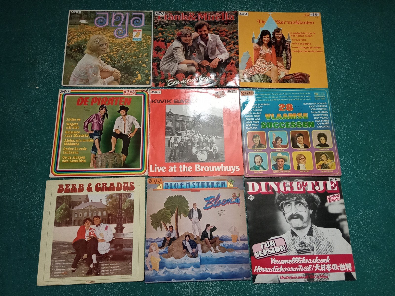 NEDERLANDSTALIGE VINYL LP'S, Cd's en Dvd's, Vinyl | Nederlandstalig, Ophalen of Verzenden, Gebruikt, 12 inch, Levenslied of Smartlap