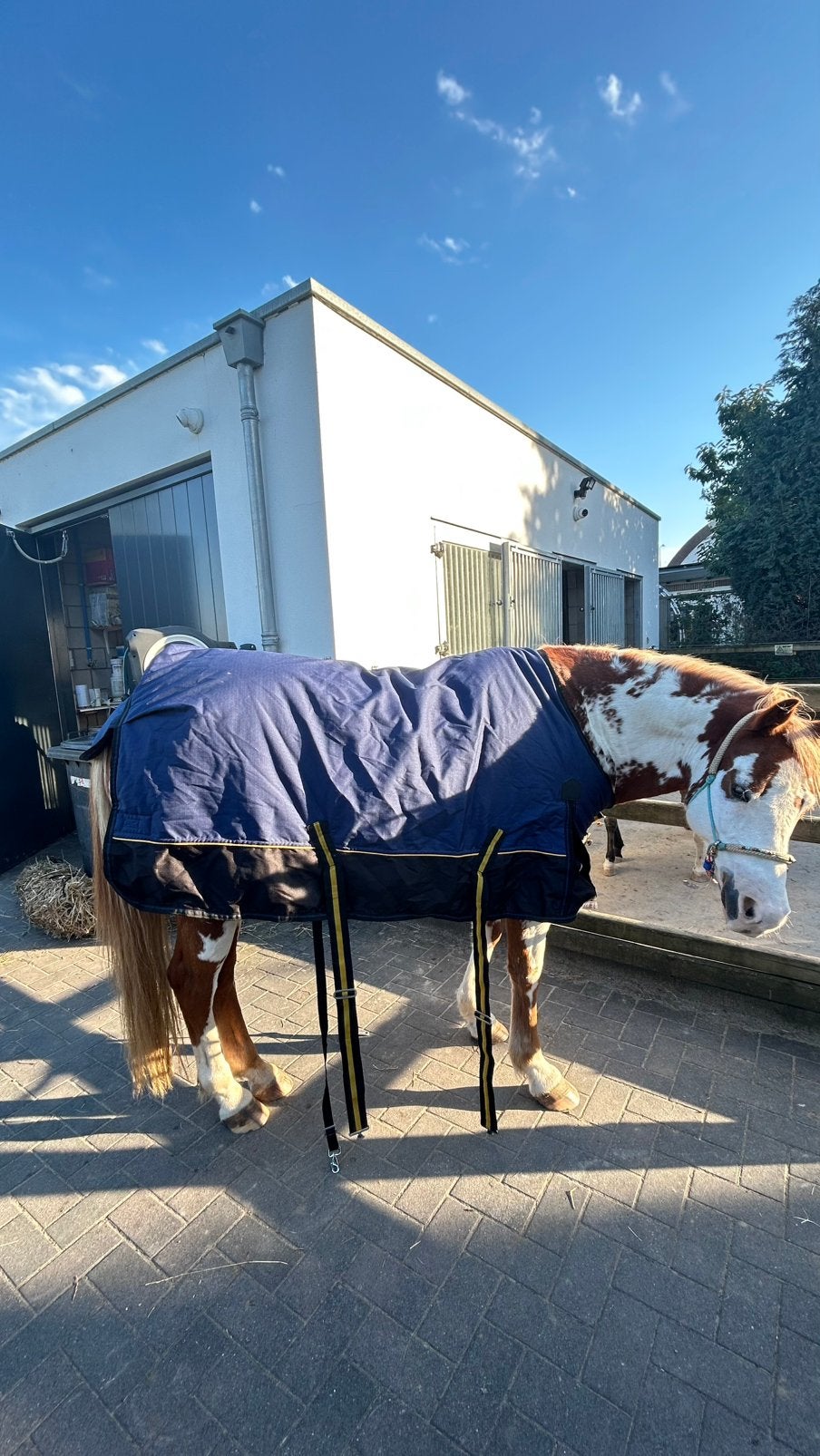 Gloednieuwe maat 165 winterdekens en bucas vliegendeken, Ophalen of Verzenden, Zo goed als nieuw