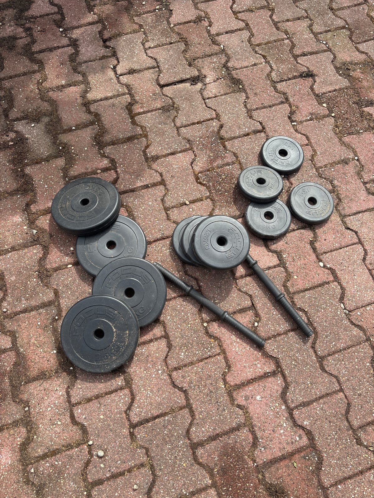 Dumbbell set met halterschijven (Focus Fitness), Ophalen, Gebruikt, Armen, Halterset