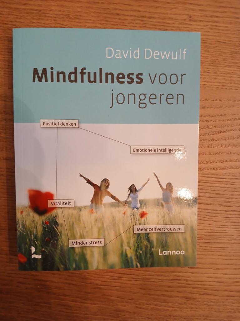 Mindfulness voor jongeren - David Dewulf, Boeken, Advies, Hulp en Training, Nieuw, Ophalen of Verzenden