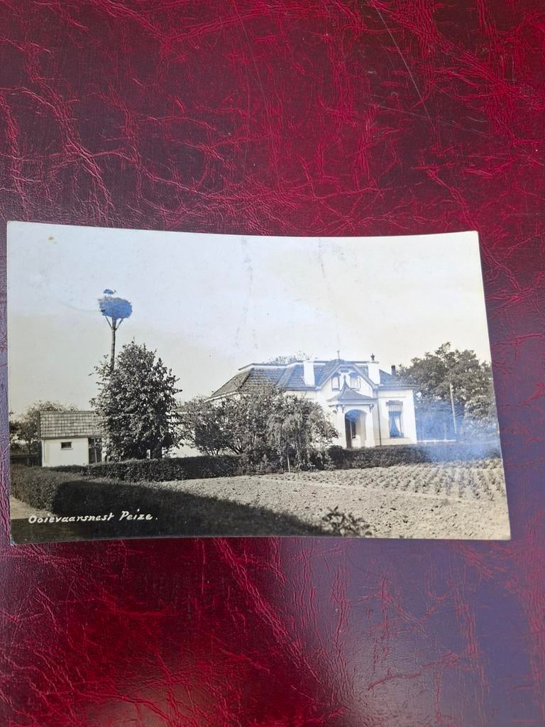 Peize fotokaart ooievaarsnest 1939, Ophalen of Verzenden, 1920 tot 1940, Gelopen, Zuid-Holland