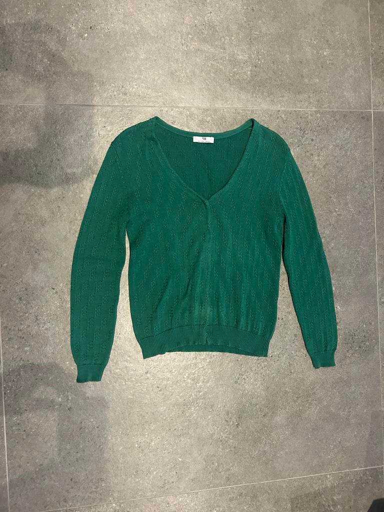 Peter Hahn V-hals vest Maat M, Ophalen, Zo goed als nieuw, Maat 38/40 (M)