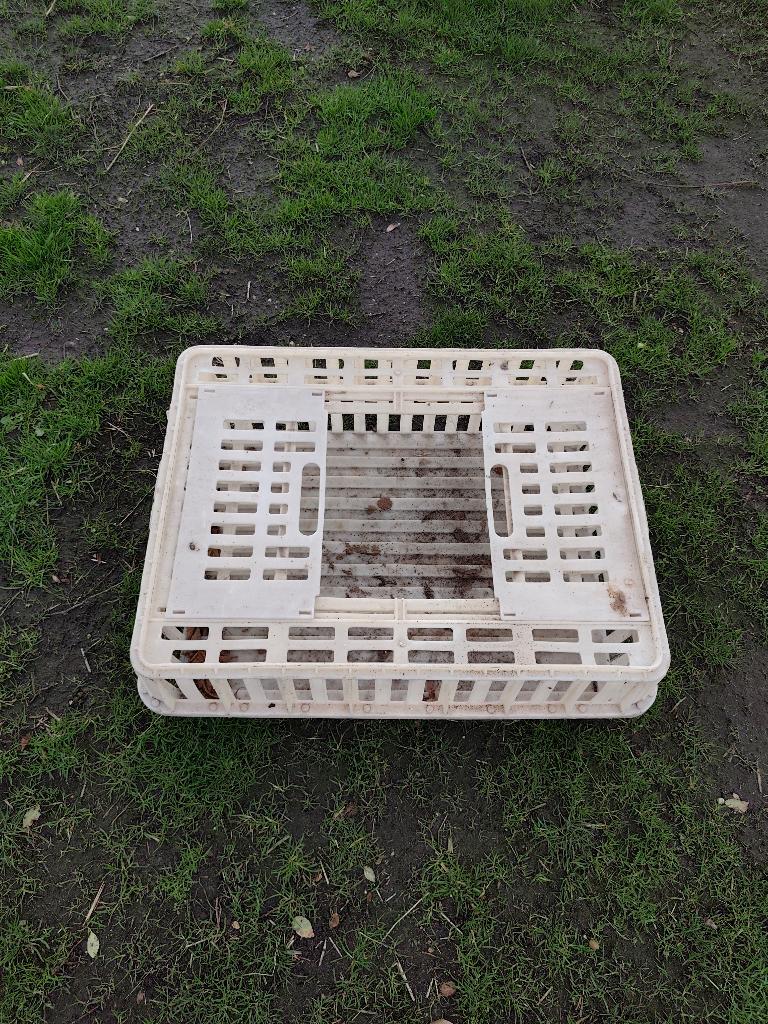pluimvee krat, Dieren en Toebehoren, Pluimvee | Toebehoren, Ophalen, Gebruikt, Overige typen