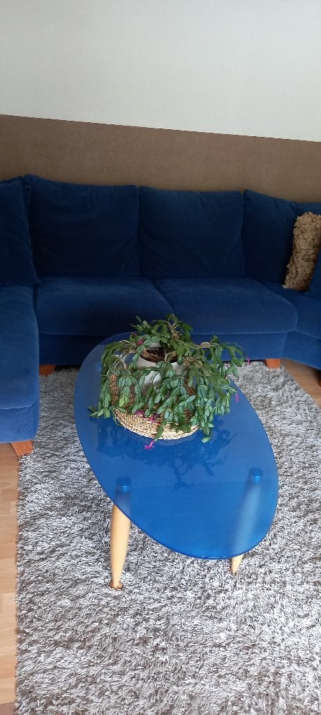 Bankstel Blauw, Ophalen, Overige materialen, Gebruikt, 125 tot 150 cm