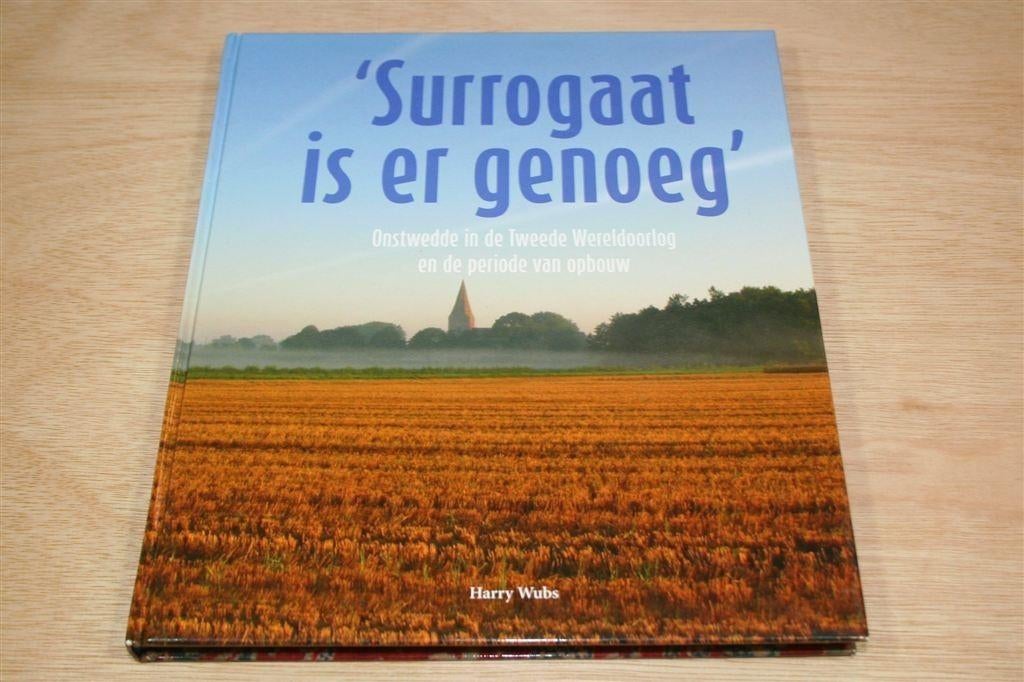 \'Surrogaat Is Er Genoeg\' — Onstwedde in WOII [H. Wubs], Ophalen of Verzenden, Zo goed als nieuw