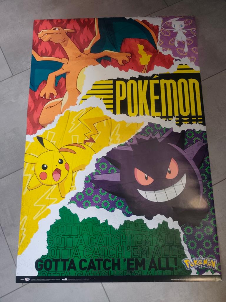 Pokémon decoratie, Ophalen, Gebruikt, Kleed of Kussen