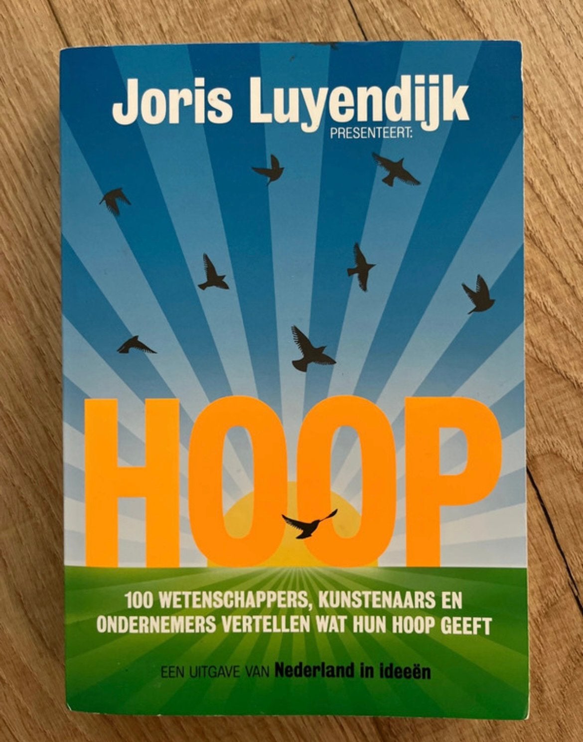 Hoop van Joris Luyendijk, Boeken, Ophalen of Verzenden, Zo goed als nieuw, Maatschappij en Samenleving