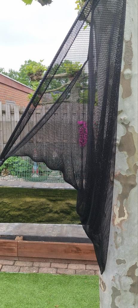 groot schepnet, Karper of Koi