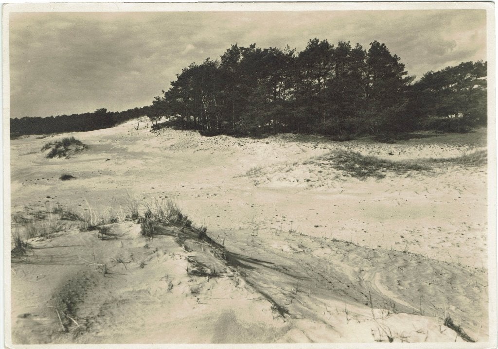 Hoenderloo – Hoge Veluwe zandverstuiving., Verzamelen, Ophalen of Verzenden, 1920 tot 1940, Ongelopen, Gelderland