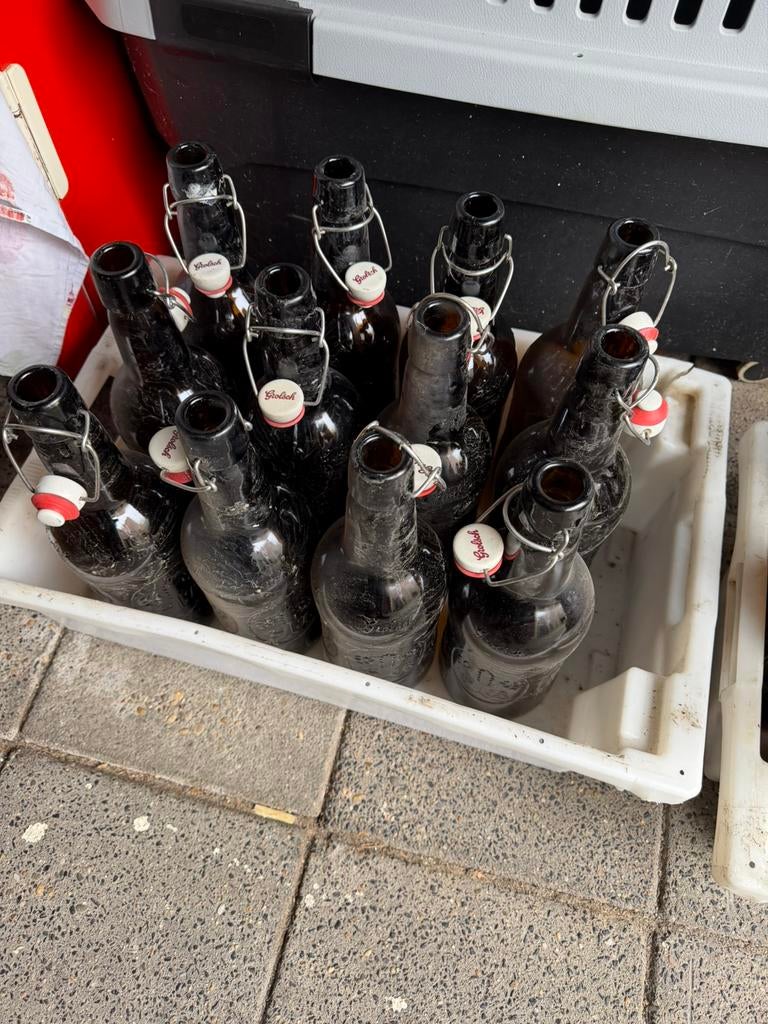 Te koop vintage grolsch bierflessen 22 stuks zie fotos, Verzamelen, Biermerken, Ophalen, Gebruikt, Flesje(s), Grolsch