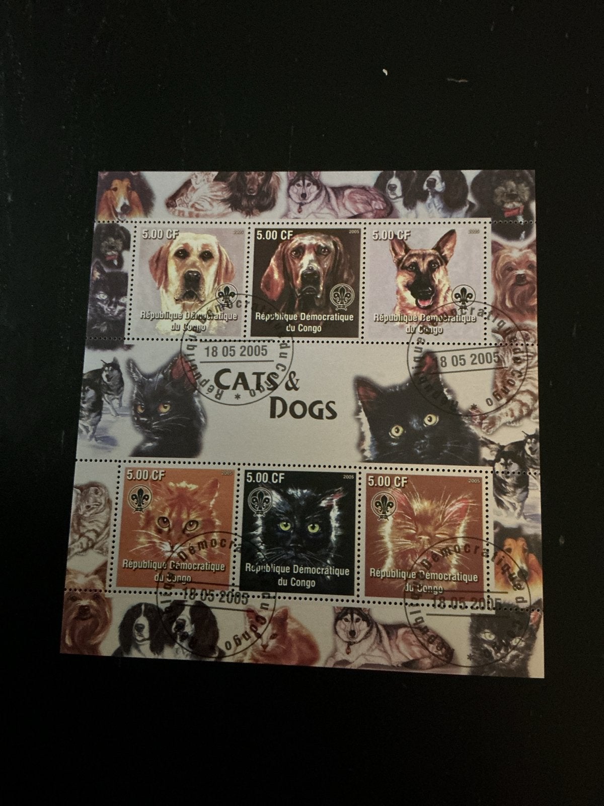 Cats & Dogs Postzegelvel Congo 2005, Ophalen of Verzenden, Nieuw, Hond of Kat, Overige typen