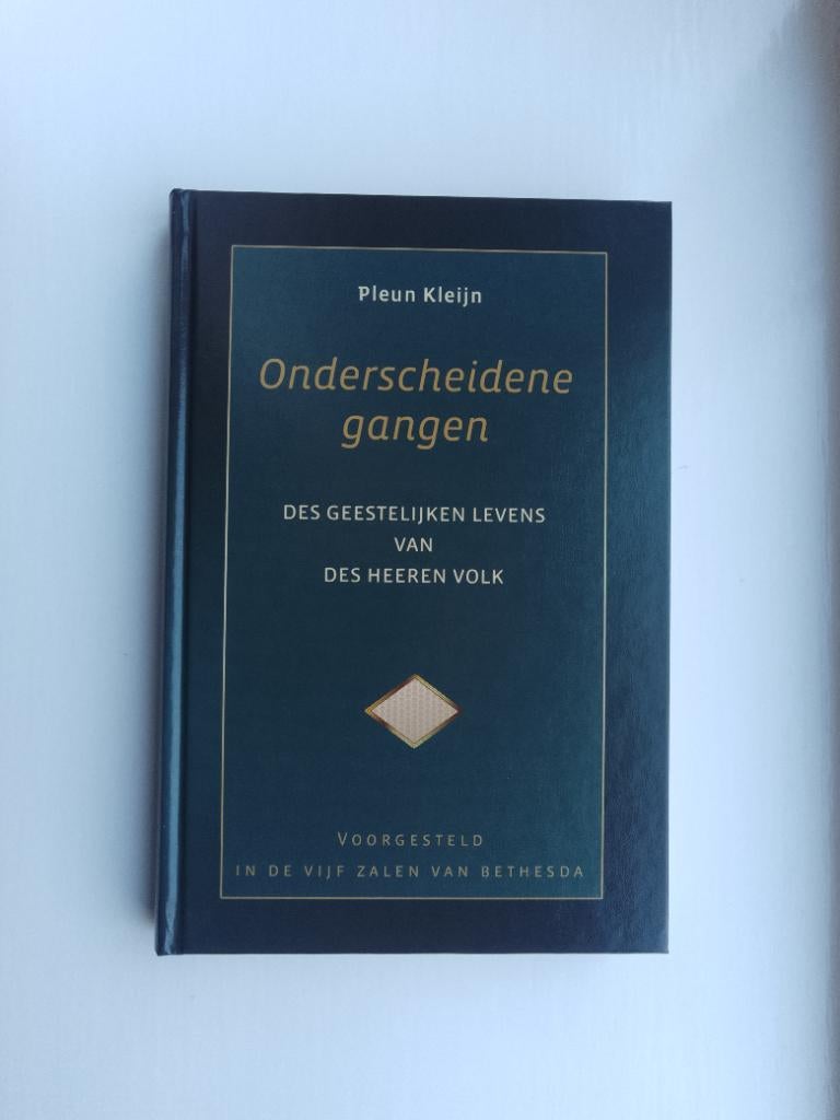 Onderscheidene gangen - Pleun Klein, Christendom | Protestants, Ophalen of Verzenden, Zo goed als nieuw, Pleun Kleijn