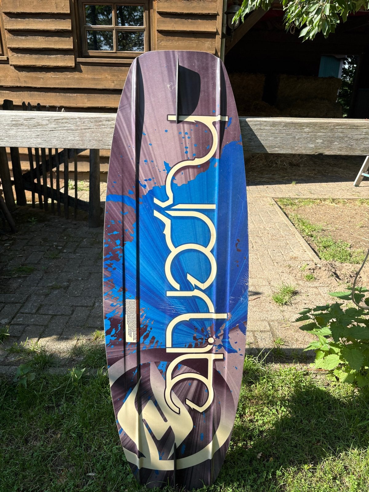 Wakeboard met schoenen - Compleet set voor waterplezier, Ophalen of Verzenden, Gebruikt, Board en Schoenen