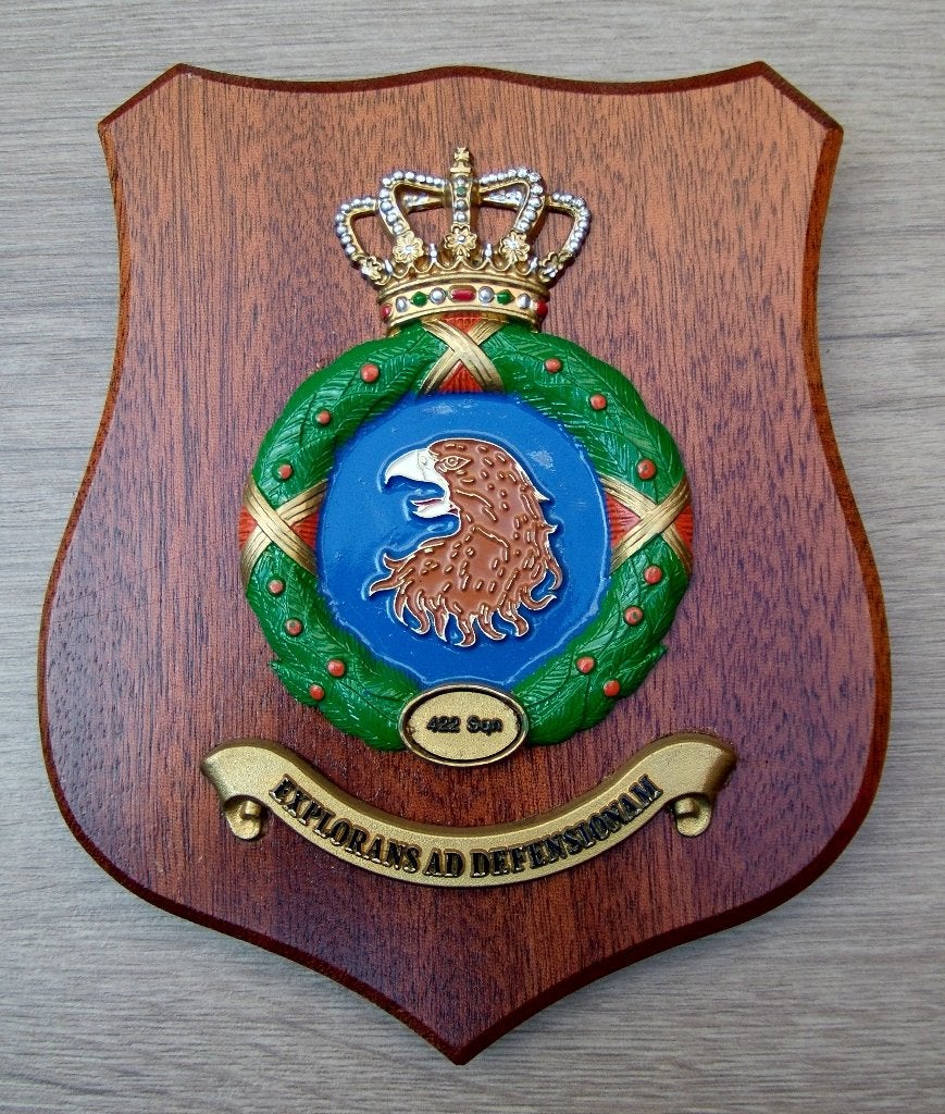 Wapenschild Koninklijke Luchtmacht 422 Squadron, Verzenden, Luchtmacht, Nederland, Overige typen