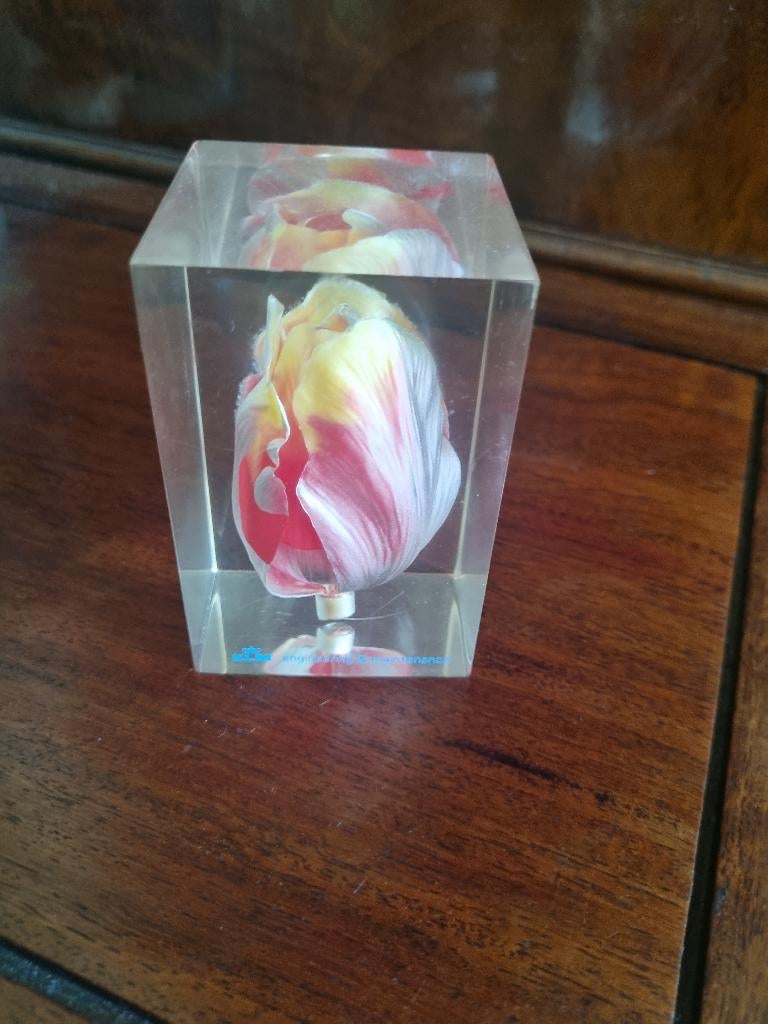 Tulp ingegoten in glas, Ophalen