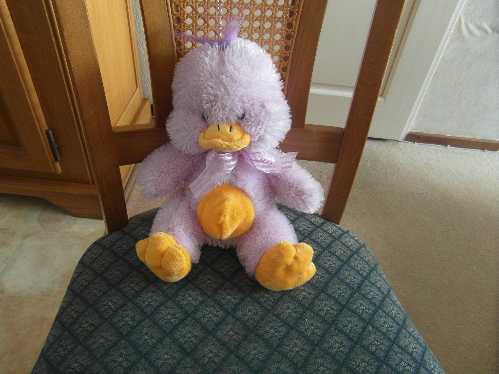 knuffel eend, Ophalen of Verzenden, Nieuw, Eend