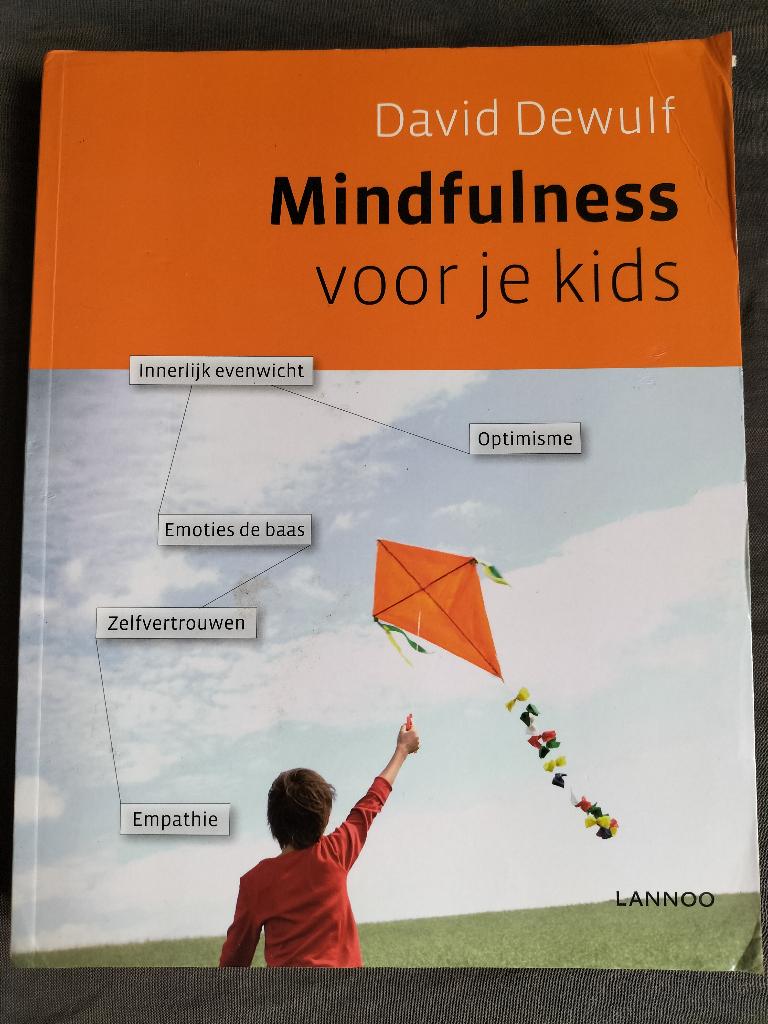 David Dewulf - Mindfulness voor je kids, Ophalen of Verzenden, Zo goed als nieuw, Opvoeding 6 tot 10 jaar, David Dewulf