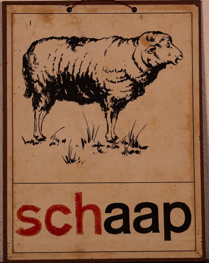 Leesplank -jes. oa Dialect leesplankjes Aap Noot Mies enz., Antiek en Kunst, Antiek | Schoolplaten, Ophalen, Overige thema's