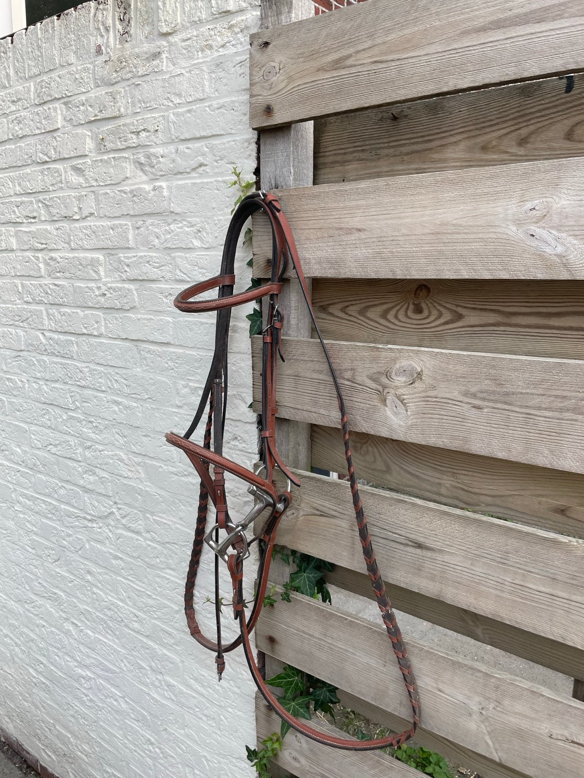 Hoofdstel, Ophalen of Verzenden, Inclusief teugels, Bit