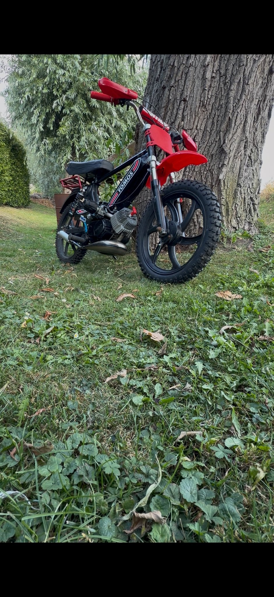 Tomos brommer - Zwart met rode accenten, Ophalen of Verzenden, Gebruikt, Maximaal 45 km/u, Overige modellen