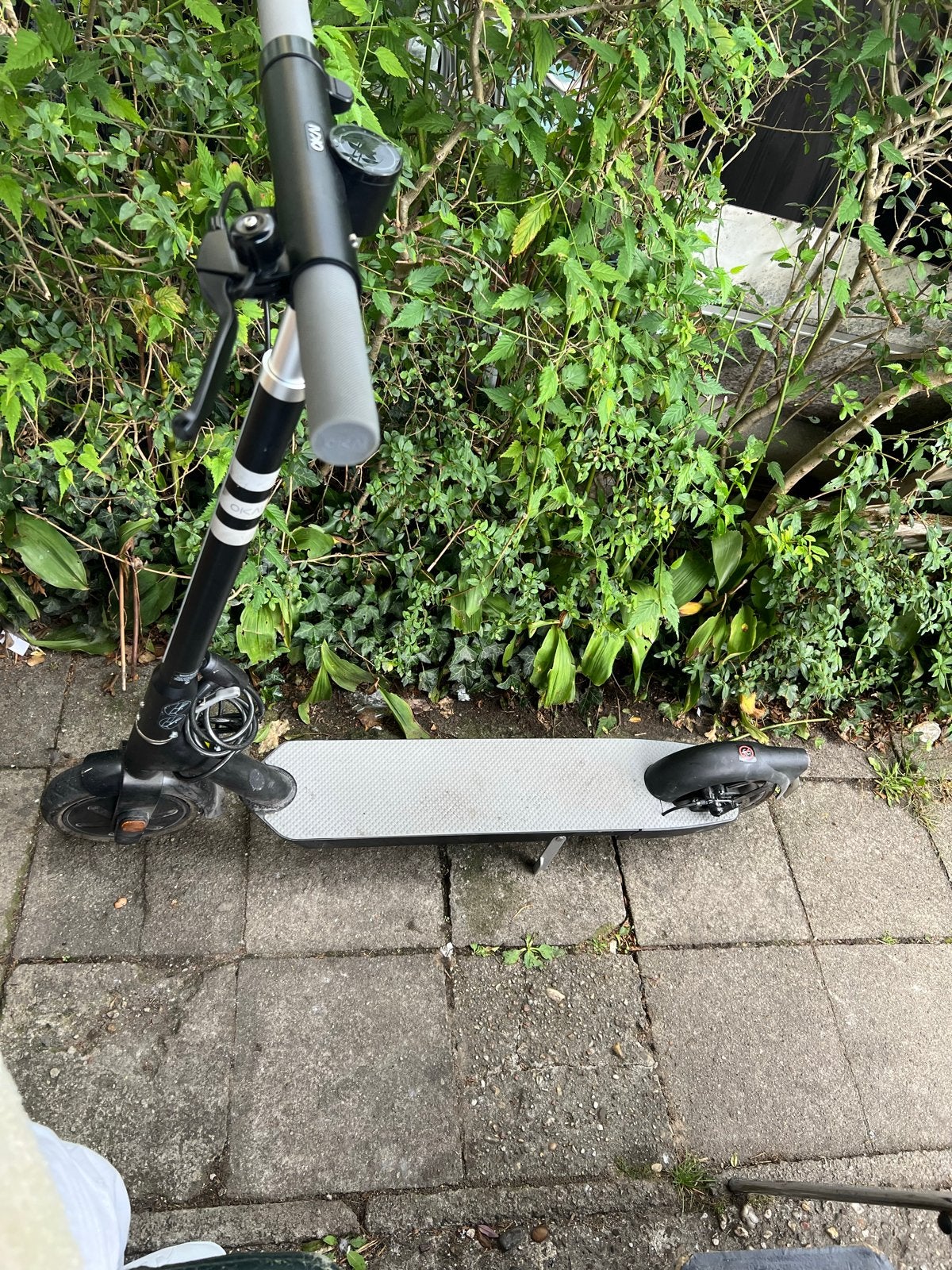Elektrische step (E-scooter) - Zo goed als nieuw, Ophalen of Verzenden, Zo goed als nieuw, Elektrische step (E-scooter)