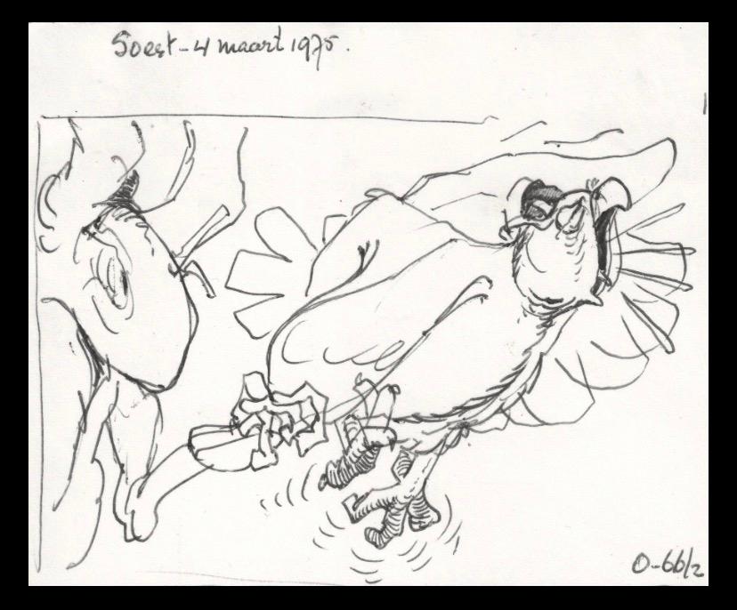 Paulus de Boskabouter, Oehoeboeroe, originele tekening, Antiek en Kunst, Ophalen of Verzenden