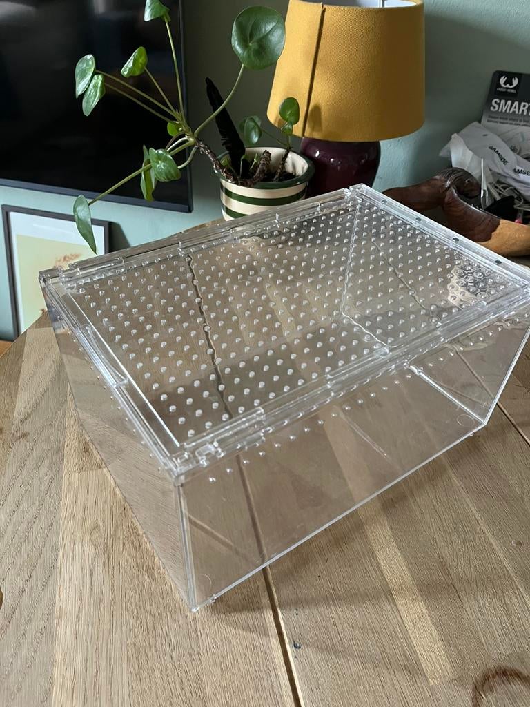 Insecten terrarium, Ophalen, -, -, Zo goed als nieuw