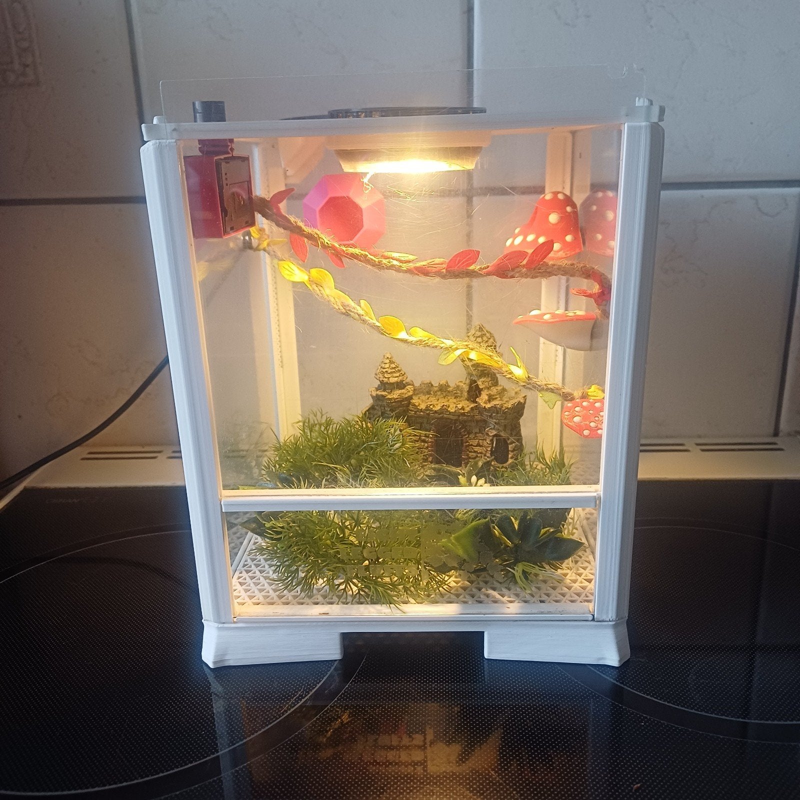terrarium voor springspin met toebehoren., Dieren en Toebehoren, Ophalen of Verzenden