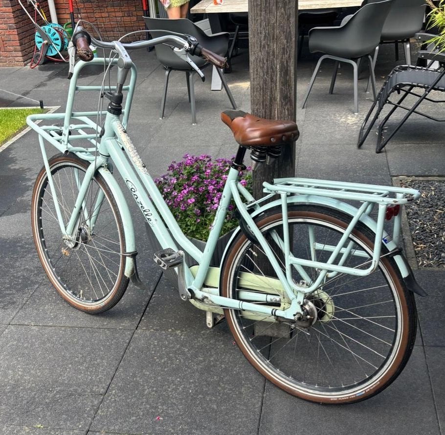 Gazelle stadsfiets  met voordrager, Fietsen en Brommers, Fietsen | Dames | Damesfietsen, Ophalen, Gebruikt, Versnellingen, 50 tot 53 cm