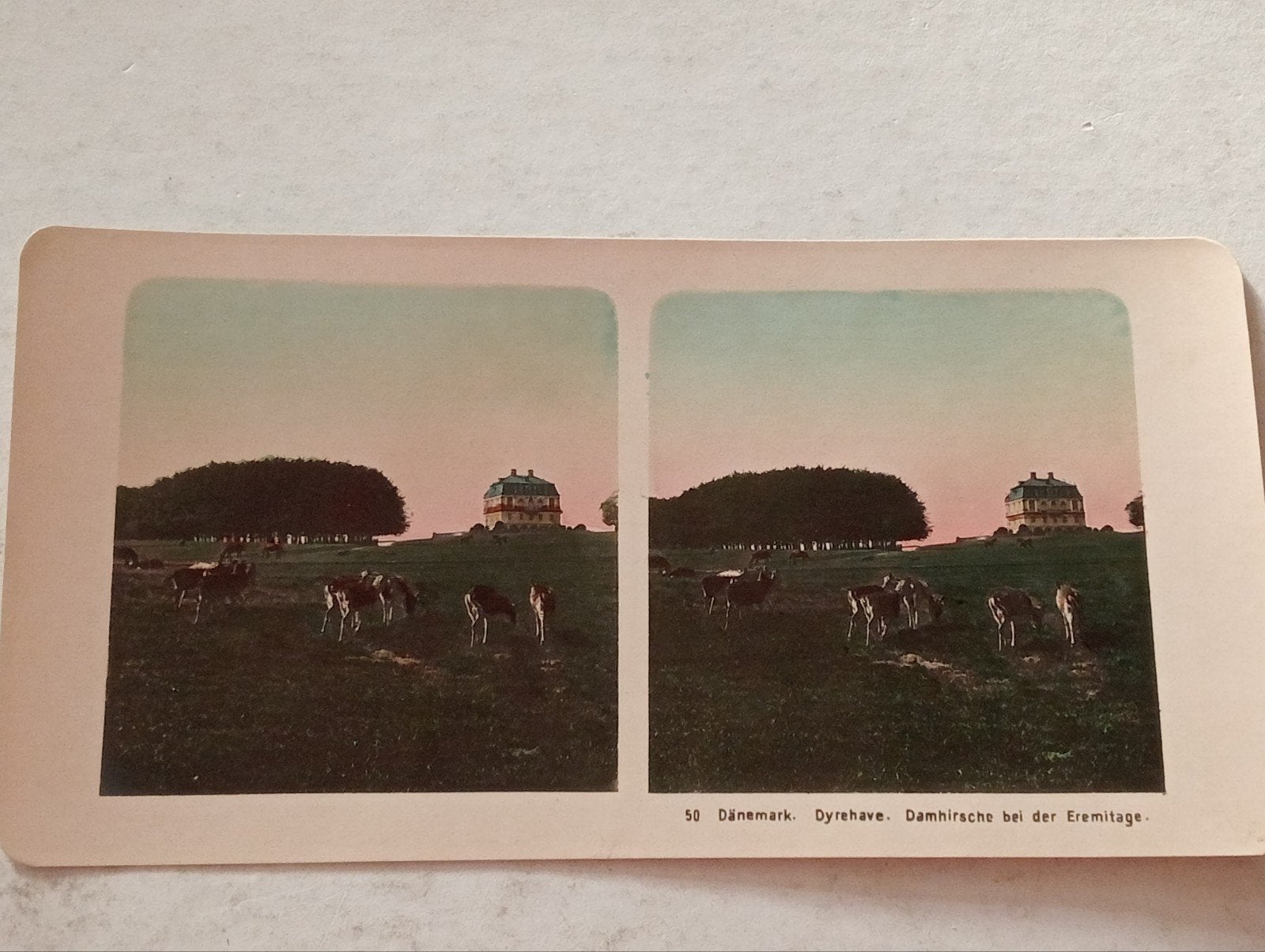 Stereofoto Denemarken, Ophalen of Verzenden, Voor 1940, Gebruikt