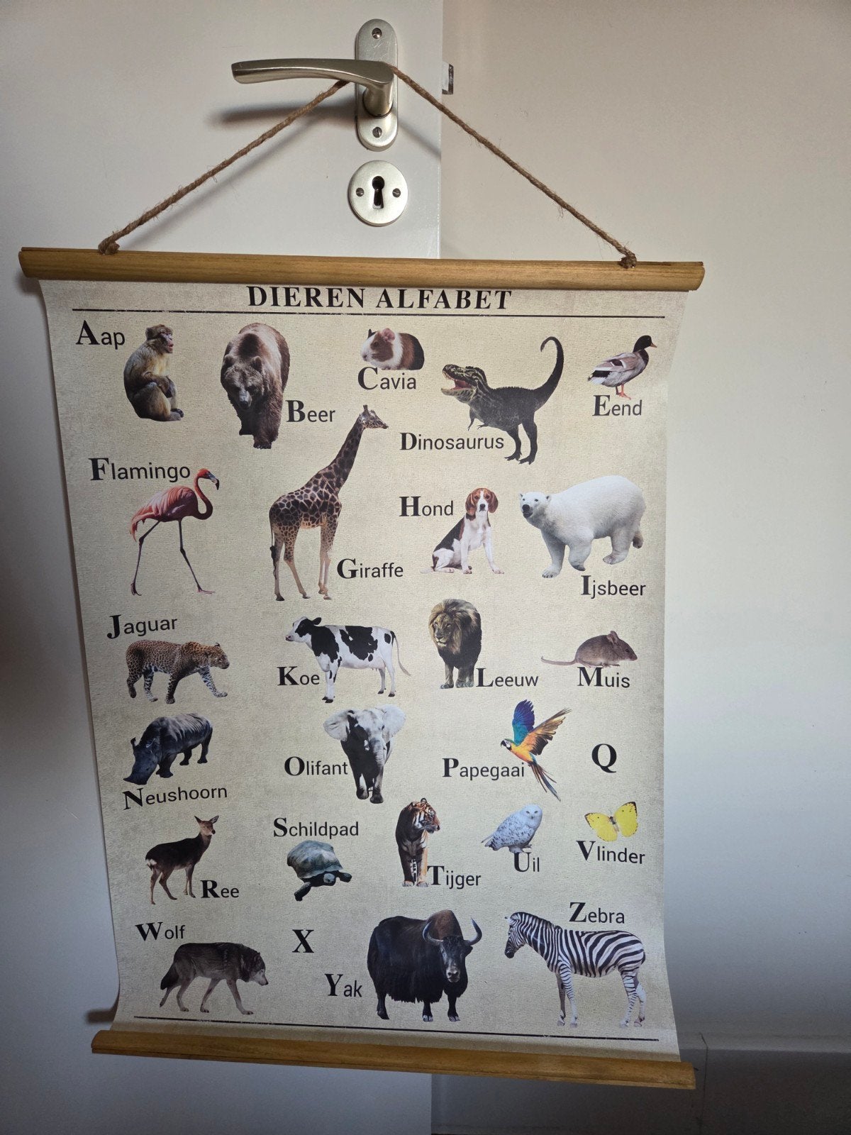 Dieren Alfabet Poster - Nieuw en Ongebruikt, Rechthoekig Staand, Nieuw, Ophalen of Verzenden, A1 t/m A3