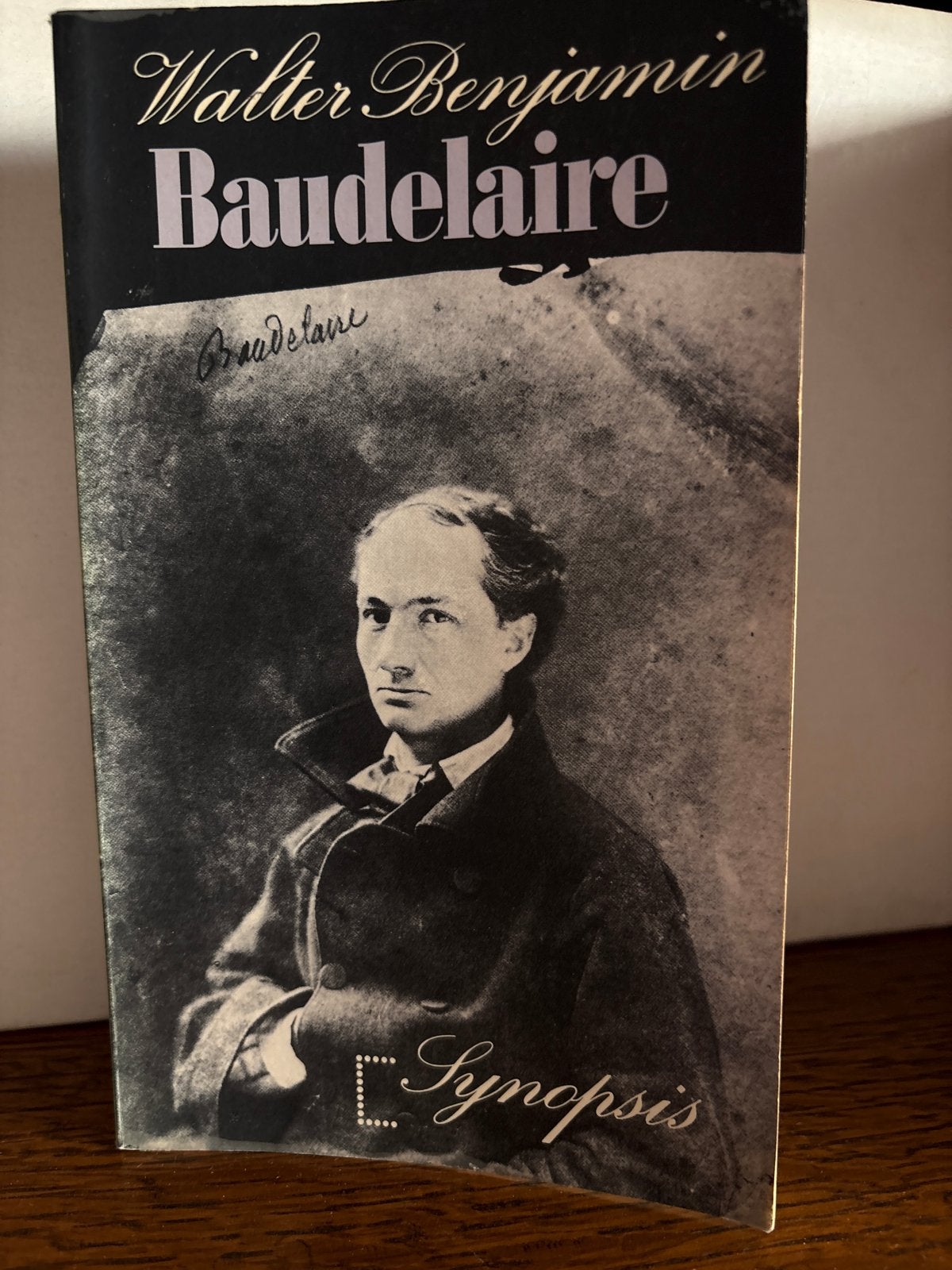 Walter Benjamin - Baudelaire (Synopsis), Boeken, Ophalen of Verzenden, Gelezen, Wereld overig