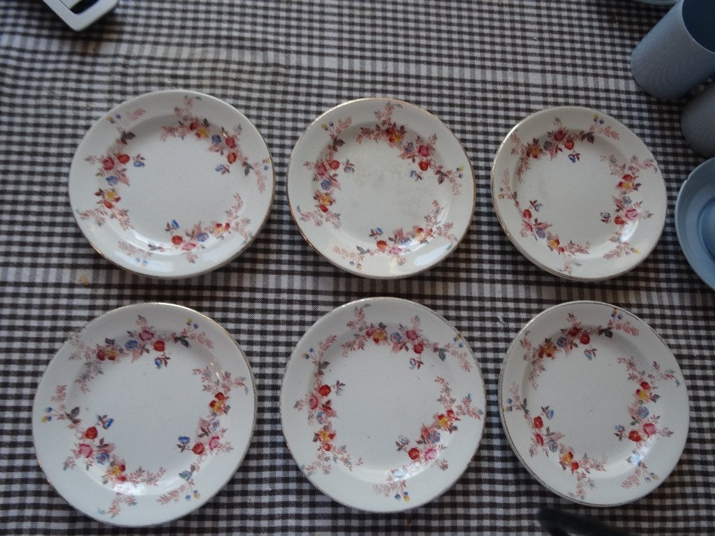 6 Kleine schaaltjes decor Elba Petrus Regout, Ophalen