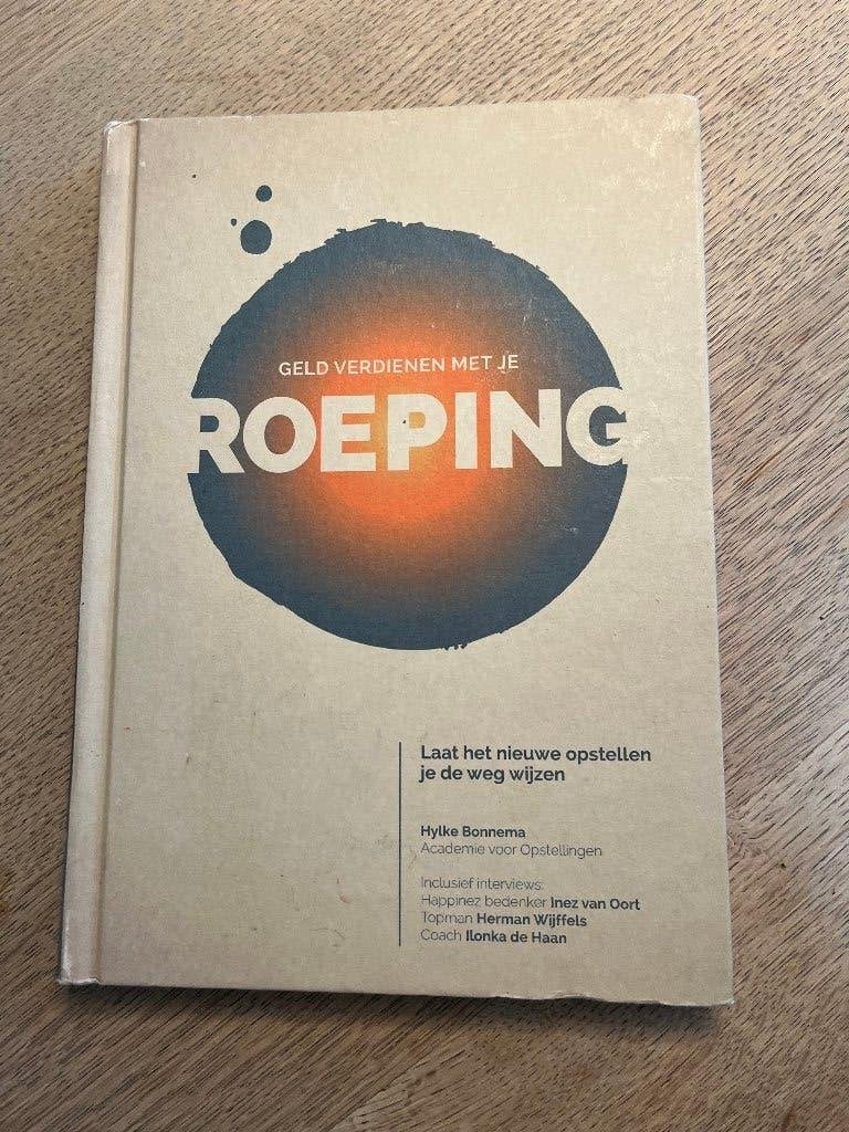 Geld verdienen met je roeping Hylke Bonnema, Ophalen of Verzenden, Gelezen, Hylke Bonnema