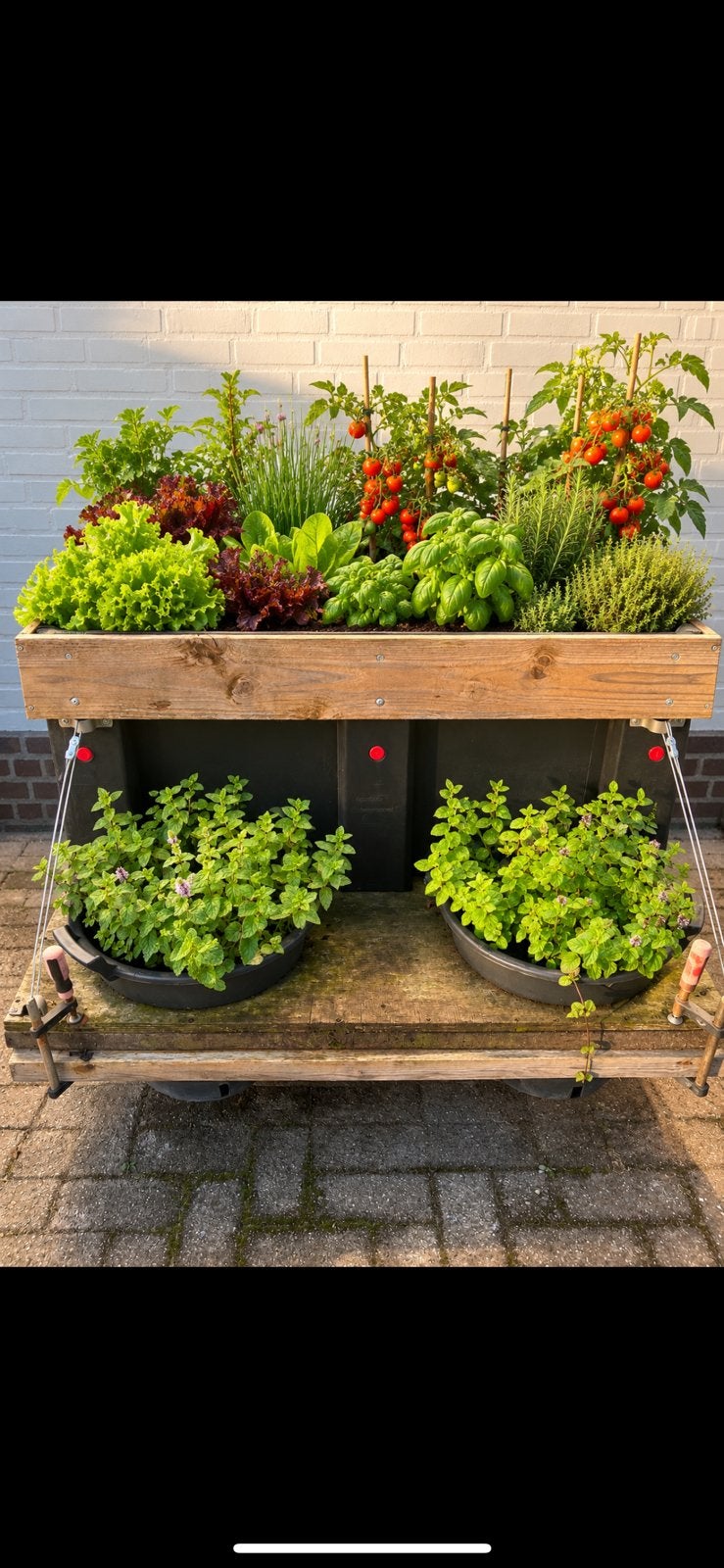 Moestuintje verrijdbaar, Tuin en Terras, Ophalen, Gebruikt, Kweekbak