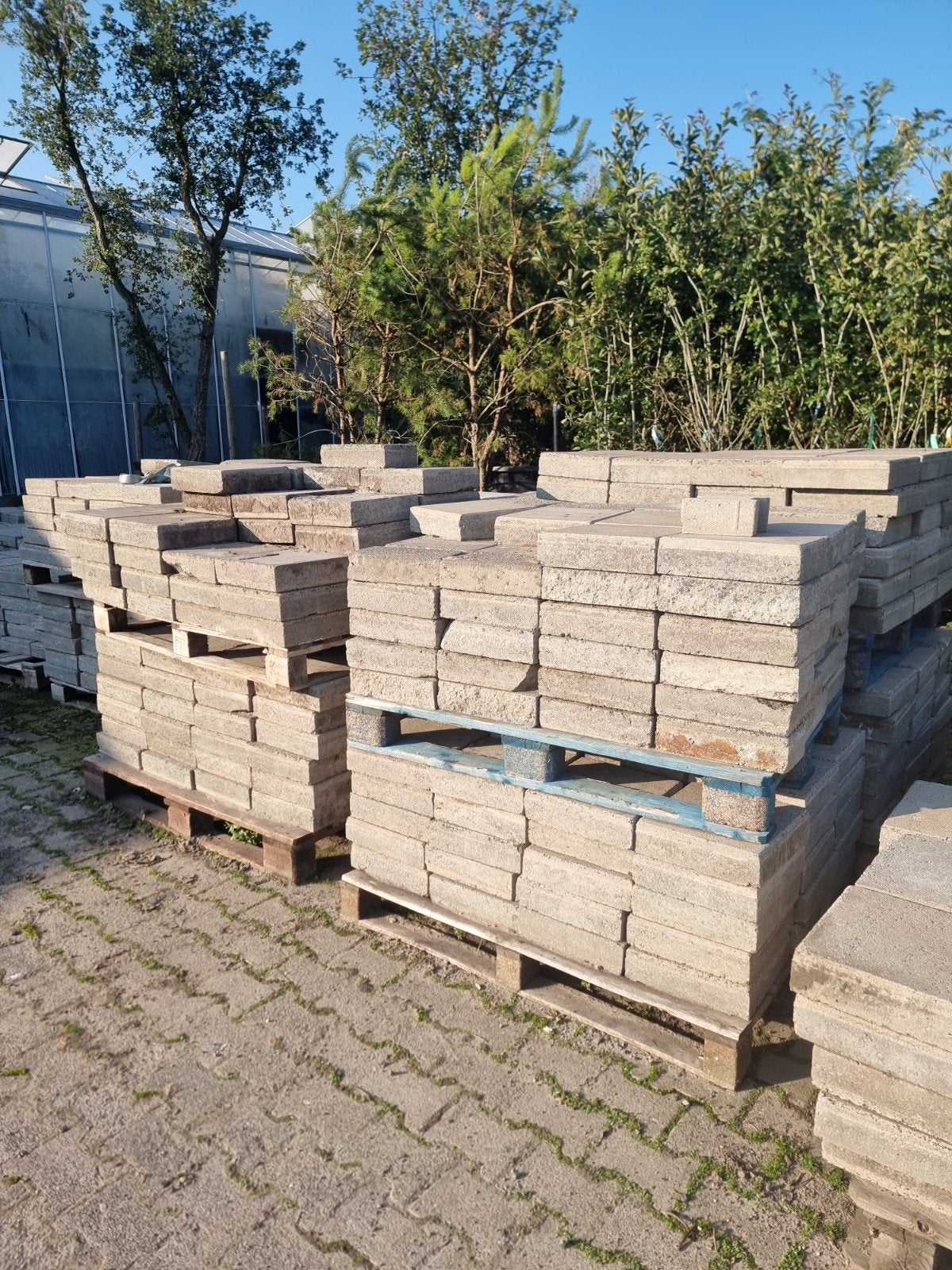 Gratis af te halen: Ruim 10 m2 betontegels 30x30x8 cm, Ophalen of Verzenden